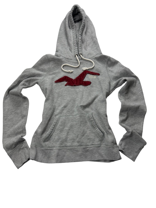 Hollister Sweater (M)